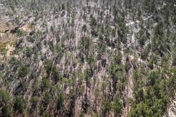 1b Spring Creek Road photo 4