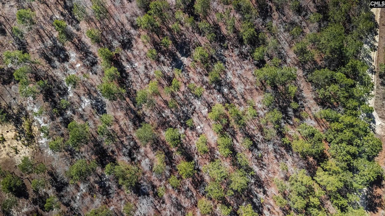 1b Spring Creek Road Photo 6