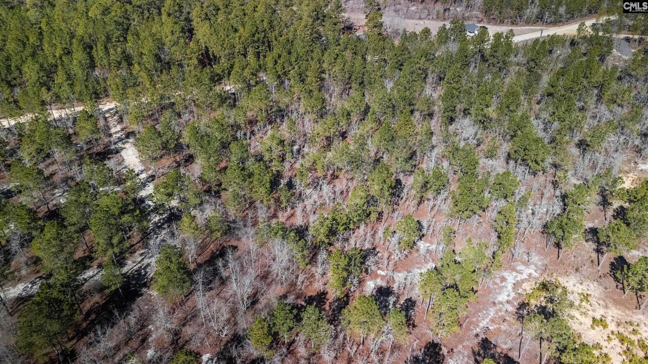 1b Spring Creek Road Photo 7