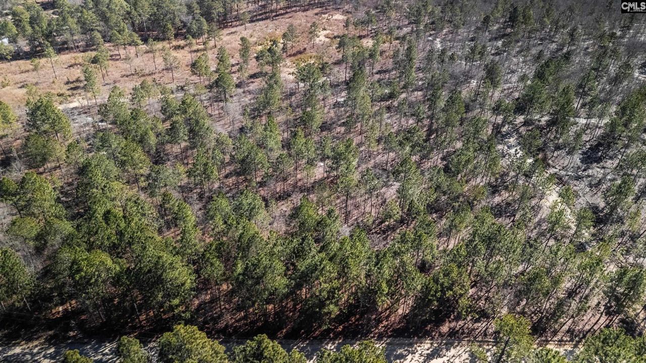 1b Spring Creek Road Photo 8