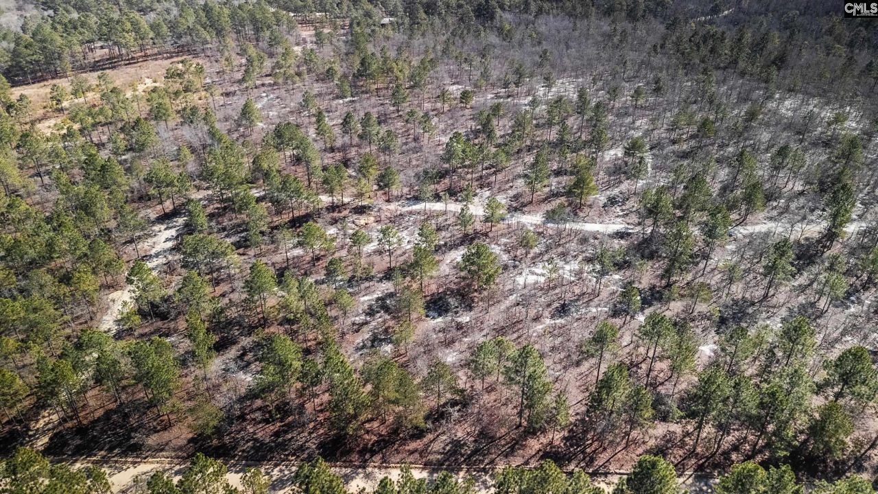 1c Spring Creek Road Photo 11