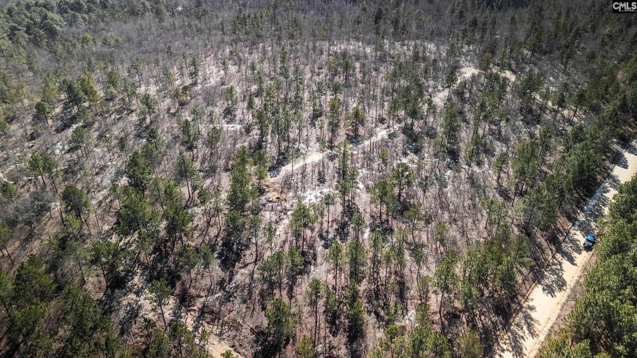 1c Spring Creek Road Photo 12