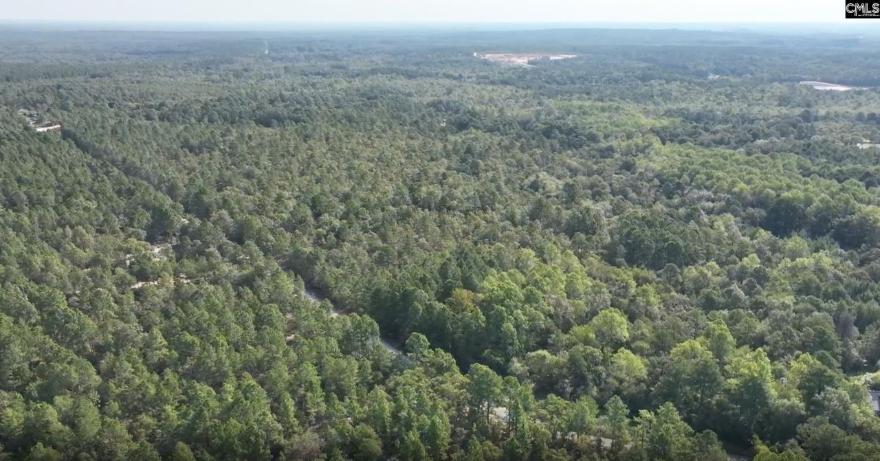 1c Spring Creek Road Photo 5