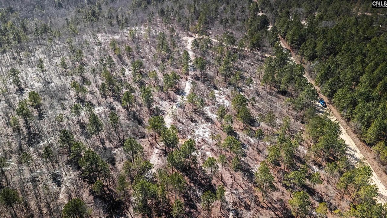 1c Spring Creek Road Photo 7