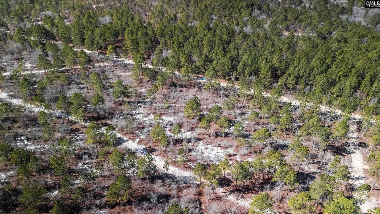 1c Spring Creek Road Photo 8