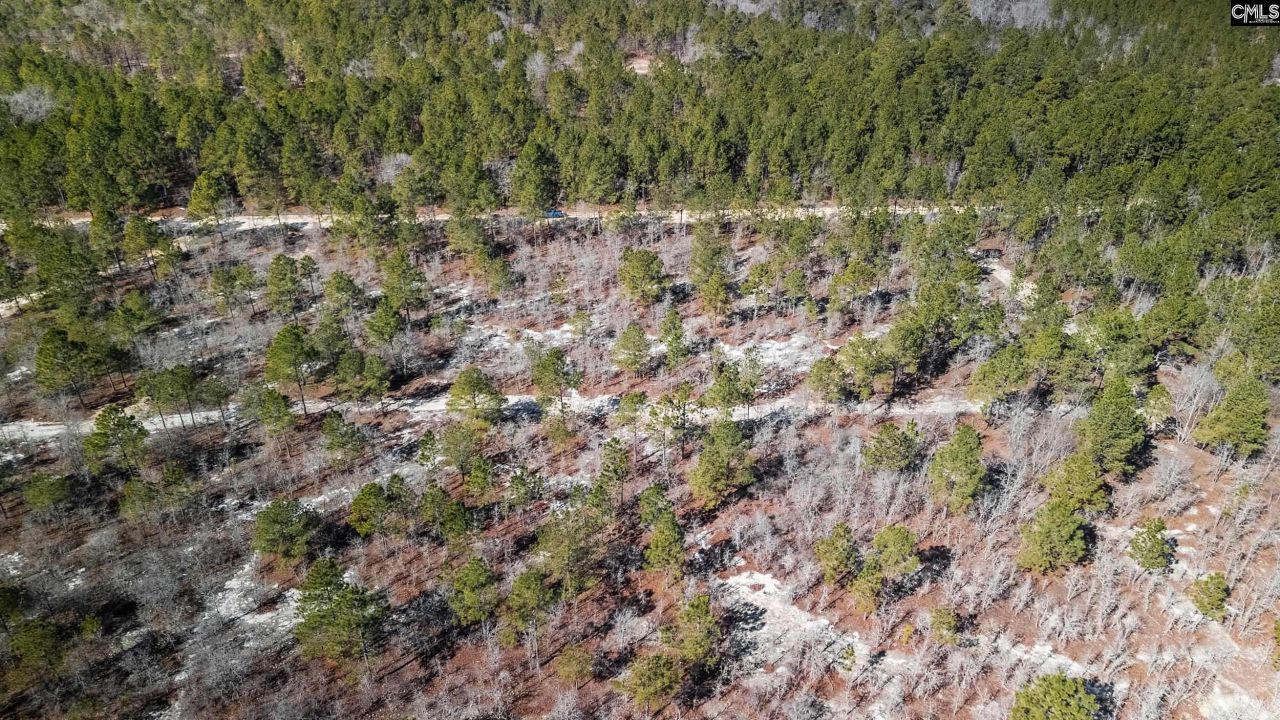 1c Spring Creek Road Photo 9