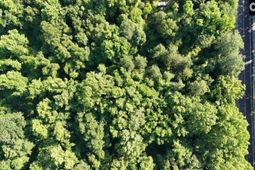 1222 N Us Highway 1  photo 4