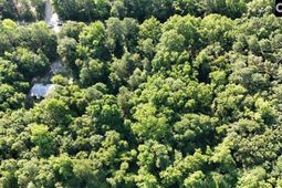 1222 N Us Highway 1  photo 4