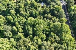 1222 N Us Highway 1  photo 4