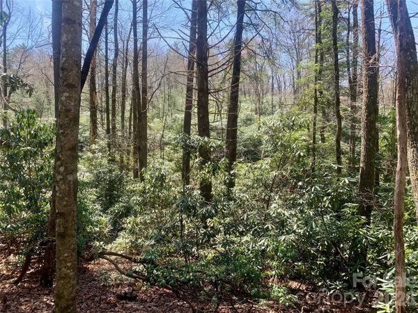 Lot 20A Indian Lake Road, Lake Toxaway, NC 28747