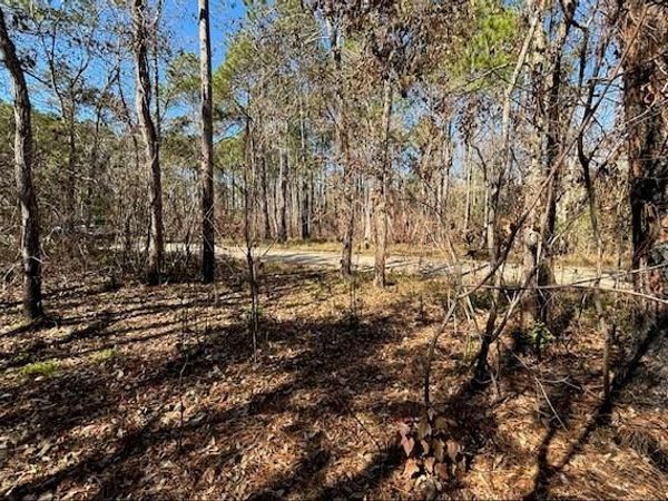 1869 Cedar Creek Circle, Coden, AL 36523