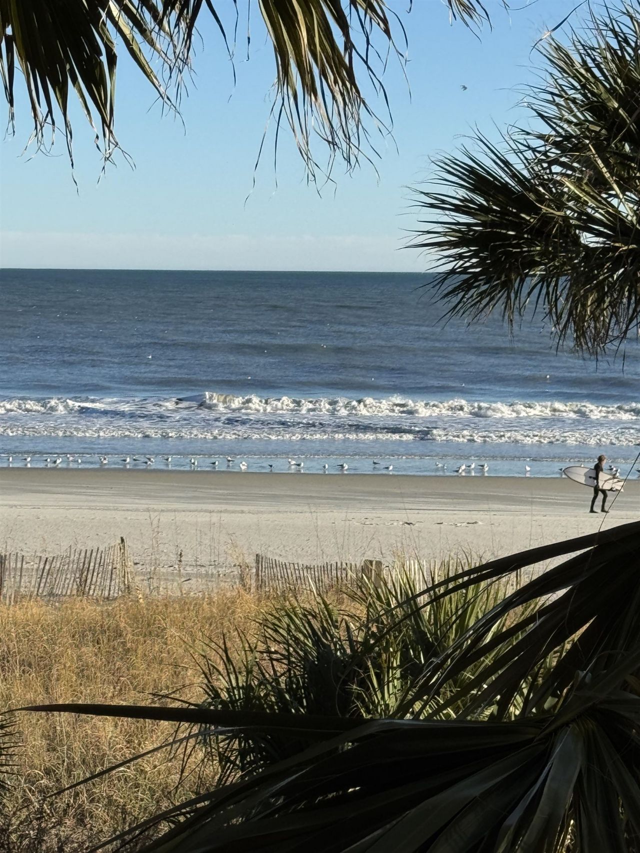 6900 Ocean Blvd. N Photo 19