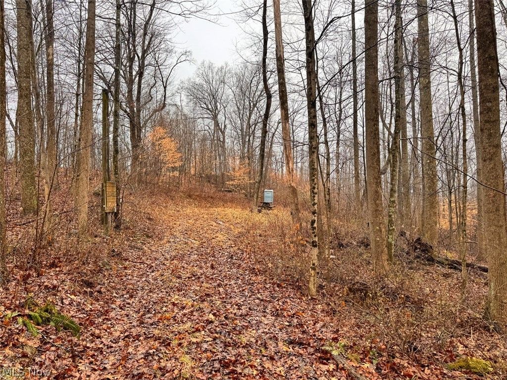 Heston Road, Kimbolton, OH 43749 Main Photo