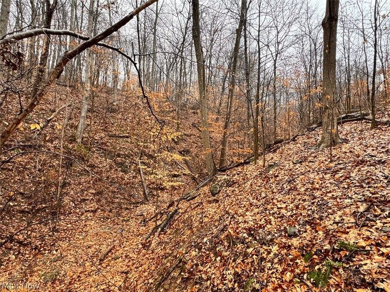 Heston Road, Kimbolton, OH 43749 Photo 10