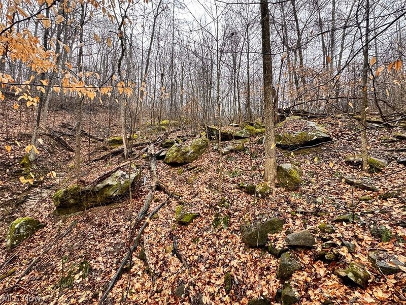 Heston Road, Kimbolton, OH 43749 Photo 11