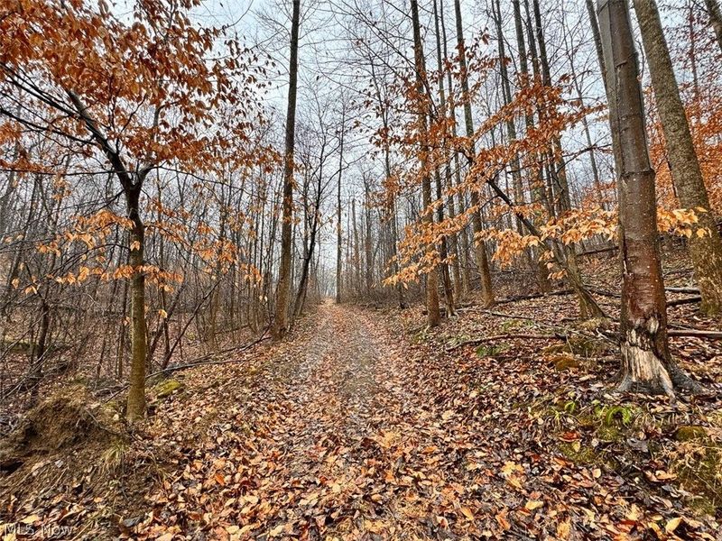 Heston Road, Kimbolton, OH 43749 Photo 12