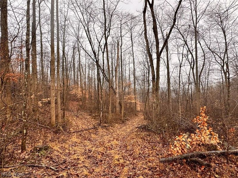 Heston Road, Kimbolton, OH 43749 Photo 13