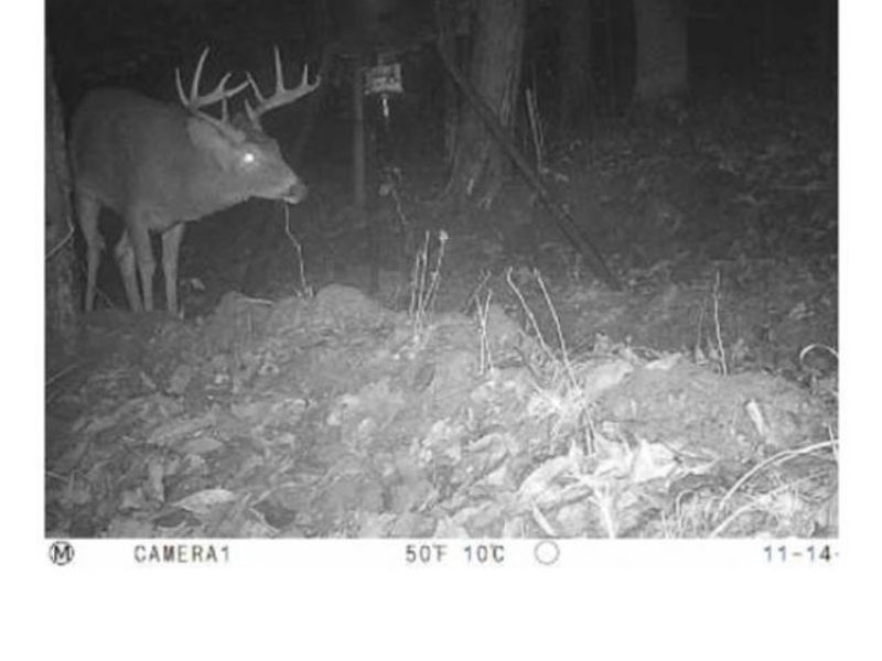 Heston Road, Kimbolton, OH 43749 Photo 19