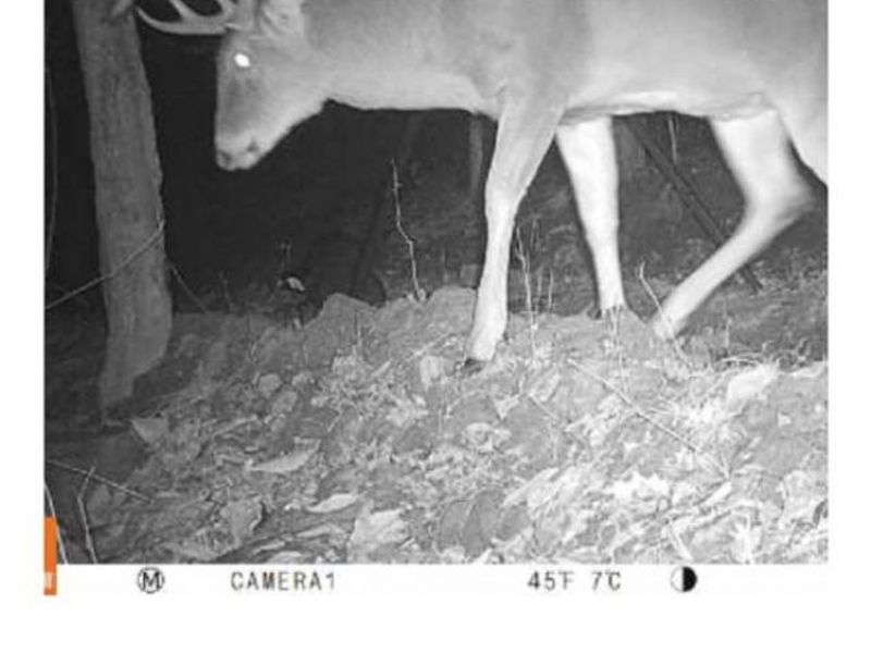 Heston Road, Kimbolton, OH 43749 Photo 20