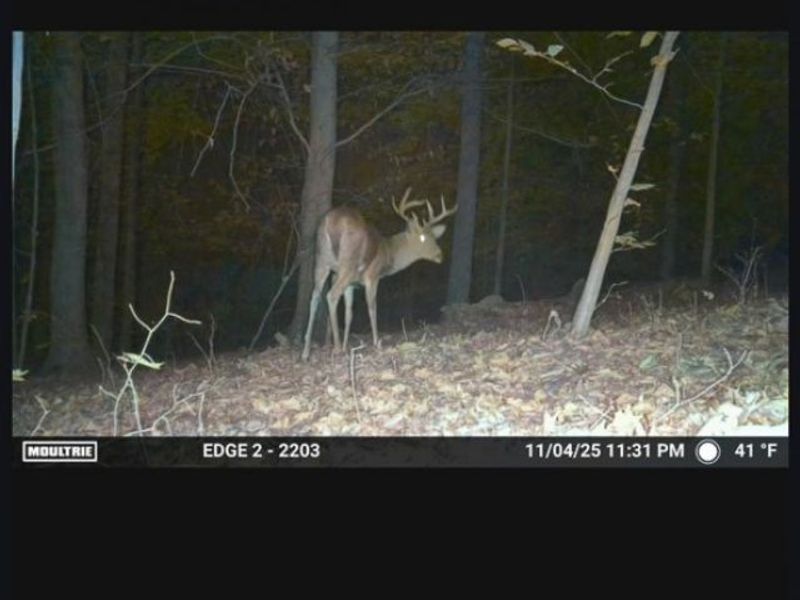 Heston Road, Kimbolton, OH 43749 Photo 21