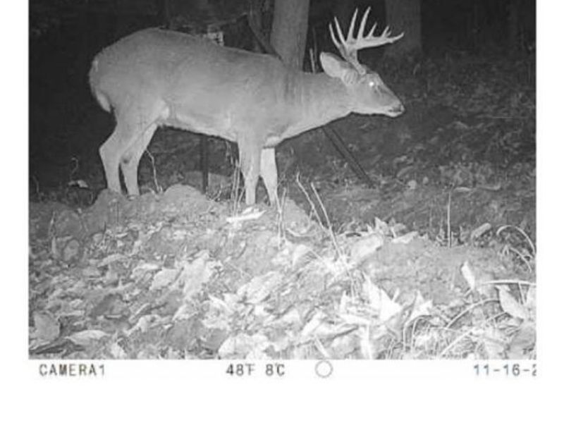 Heston Road, Kimbolton, OH 43749 Photo 22