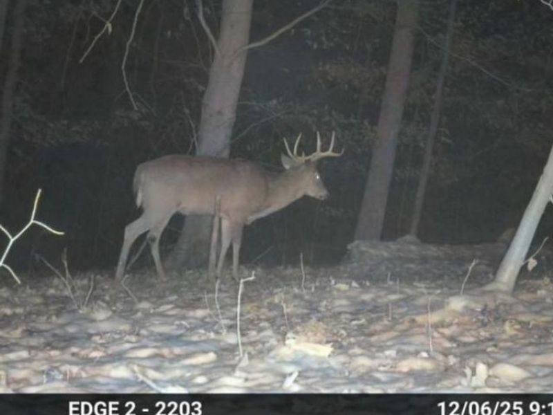 Heston Road, Kimbolton, OH 43749 Photo 23