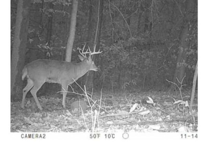 Heston Road, Kimbolton, OH 43749 Photo 24