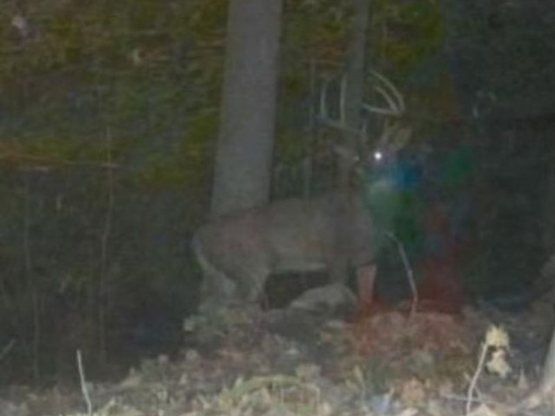 Heston Road, Kimbolton, OH 43749 Photo 25