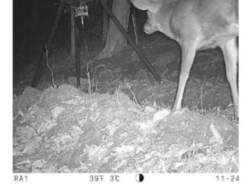 Heston Road, Kimbolton, OH 43749 Photo 26