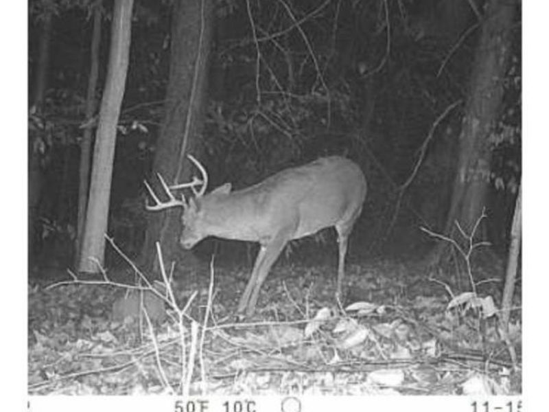 Heston Road, Kimbolton, OH 43749 Photo 29