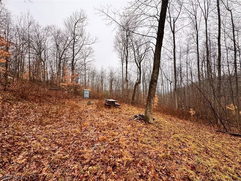 Heston Road, Kimbolton, OH 43749 Photo 3