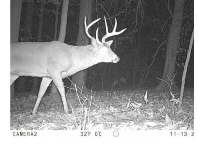 Heston Road, Kimbolton, OH 43749 Photo 30