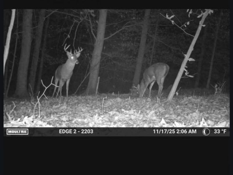 Heston Road, Kimbolton, OH 43749 Photo 31