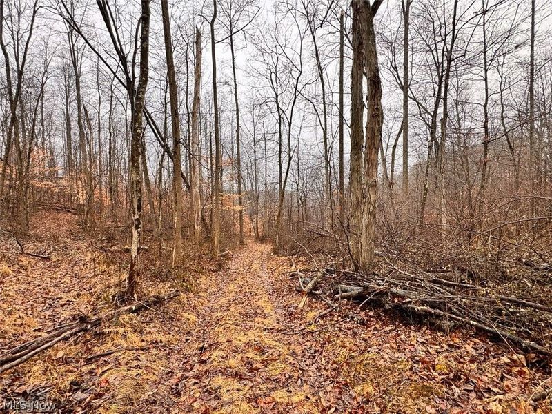 Heston Road, Kimbolton, OH 43749 Photo 4