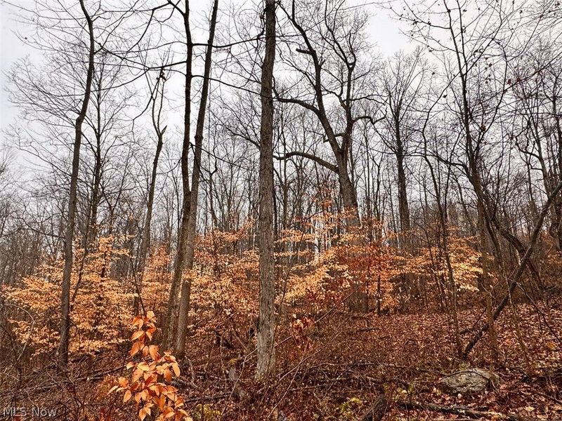 Heston Road, Kimbolton, OH 43749 Photo 5