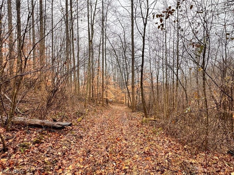 Heston Road, Kimbolton, OH 43749 Photo 6