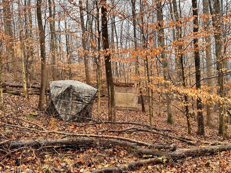 Heston Road, Kimbolton, OH 43749 Photo 7