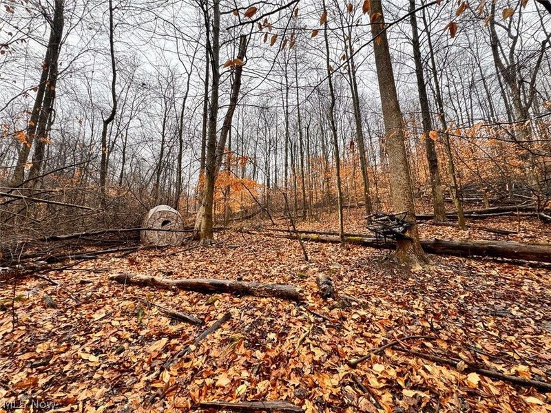 Heston Road, Kimbolton, OH 43749 Photo 9