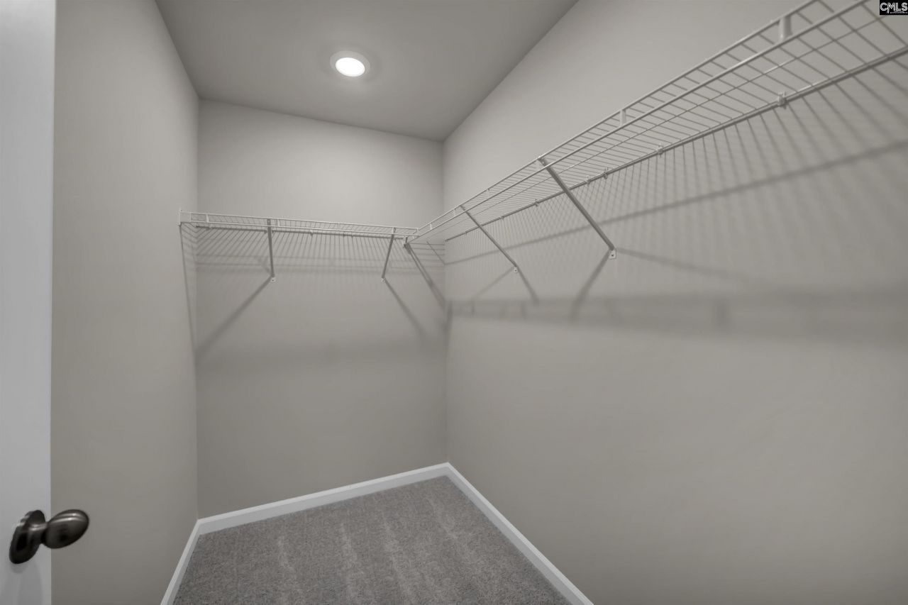 161 Winding Chestnut Drive Photo 22