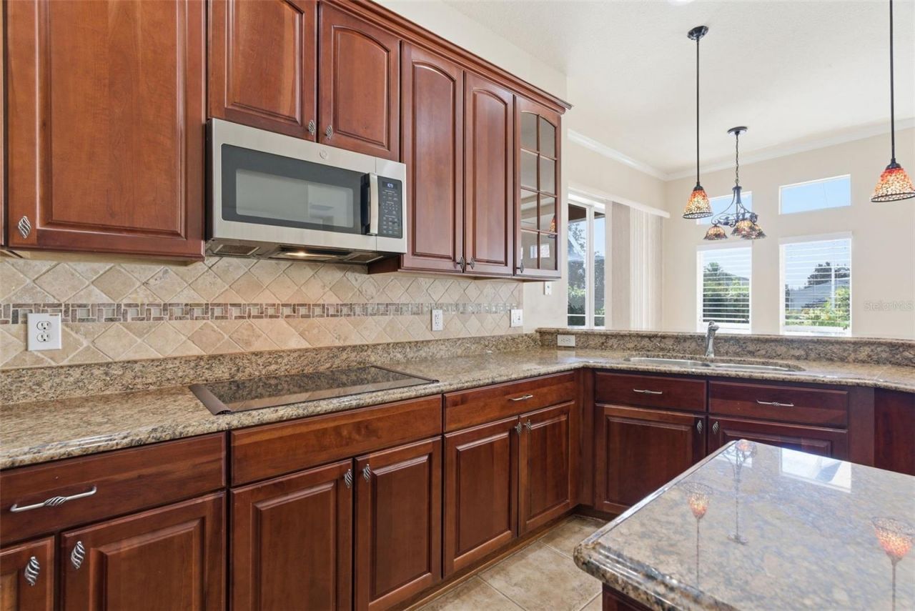 915 Vista Verde Lane, Sun City Center, FL 33573 Photo