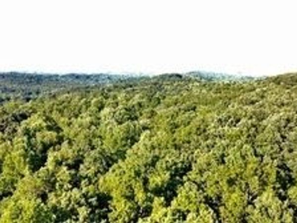 0 Dawsonville Highway, Gainesville, GA 30506