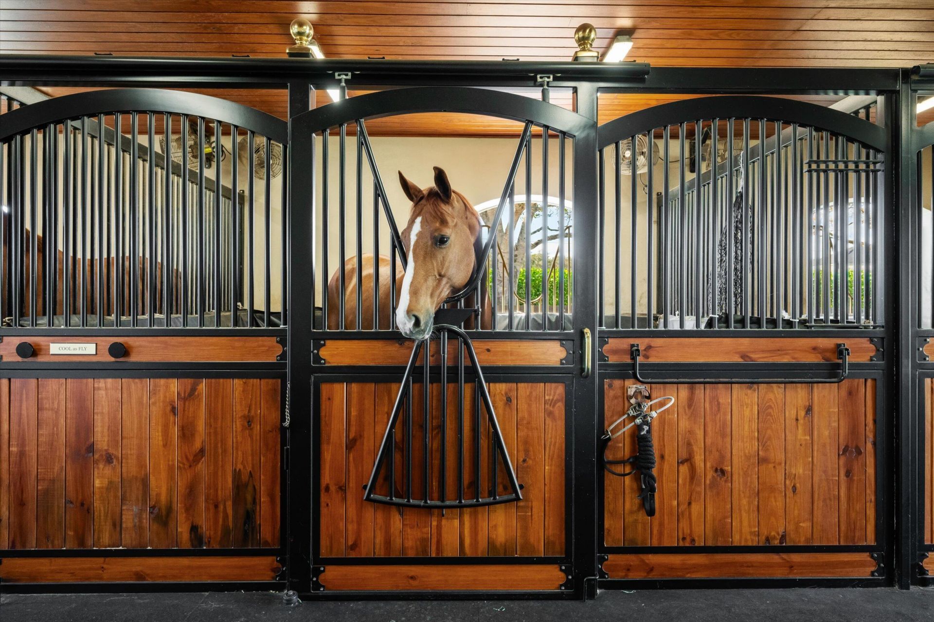 14868 Paddock Drive, Wellington, FL 33414 Photo