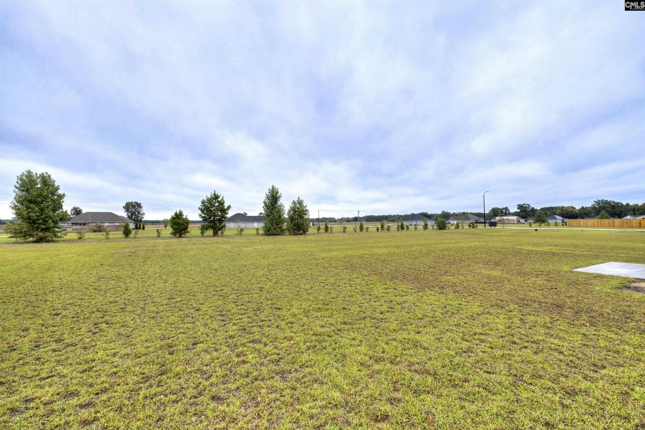 1861 Wildhorse Drive  Photo 38