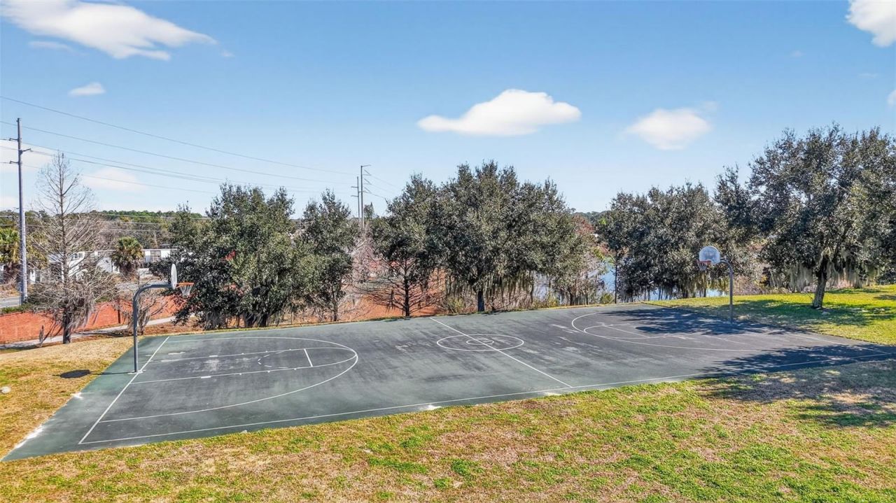 2451 Plumadore Drive, Grand Island, FL 32735 Photo