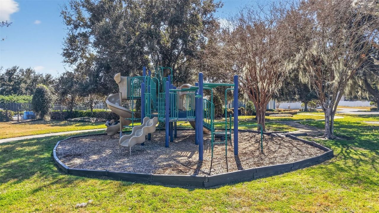 2451 Plumadore Drive, Grand Island, FL 32735 Photo