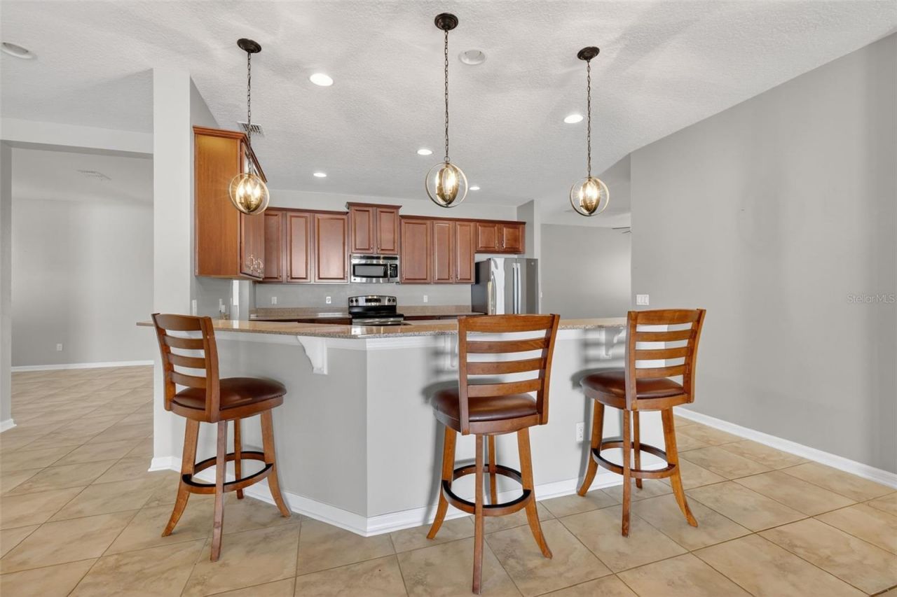 2451 Plumadore Drive, Grand Island, FL 32735 Photo