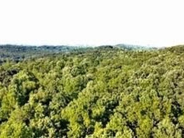 0 Dawsonville Highway, Dawsonville, GA 30506