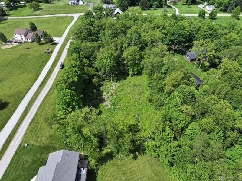 937 Willow Road, Springfield, OH 45502 Photo 4