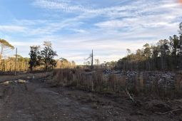 1588 Highway 57 N  photo 4