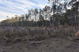 1588 Highway 57 N  photo 4